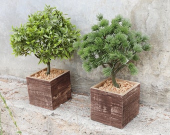 May include: Two potted plants in brown wooden square planters. The plant on the left has green leaves and the plant on the right has green pine needles.