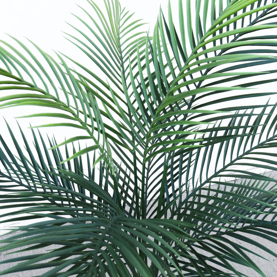 5ft Artificial Bottle Palm Tree in Black Pot | Tropical Fake Faux Palm ...