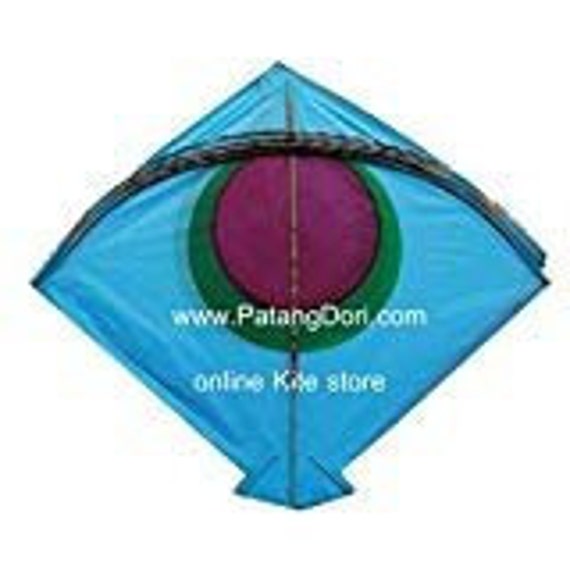Tash Kite Flying Patang 🪁 #kite #shorts #patang #kiteflying #kitefestival  #viral | Instagram