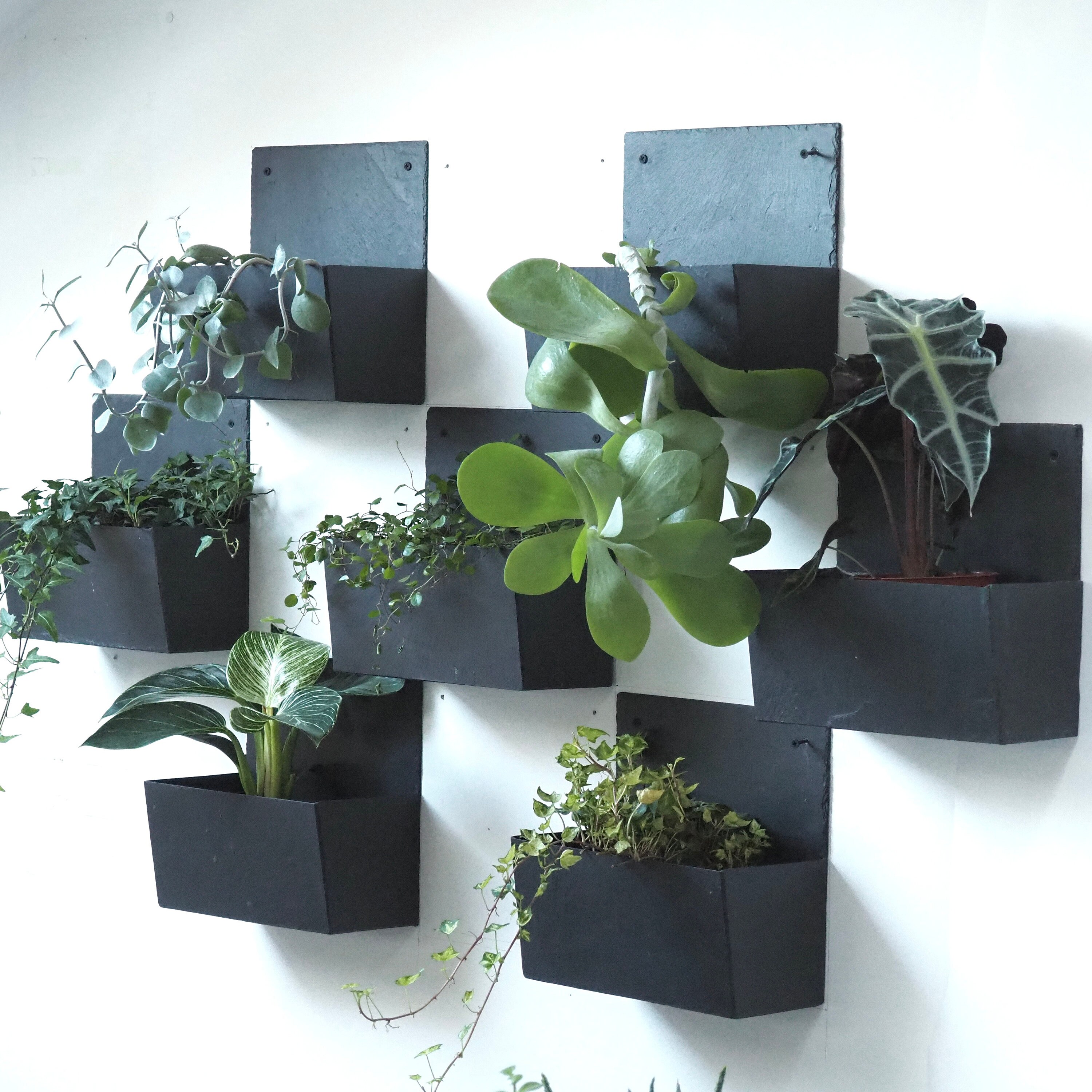 Jardinière Murale en Ardoise Naturelle