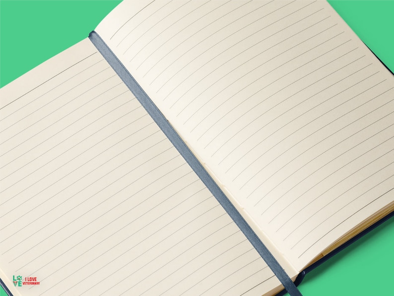 an open notebook on a green background