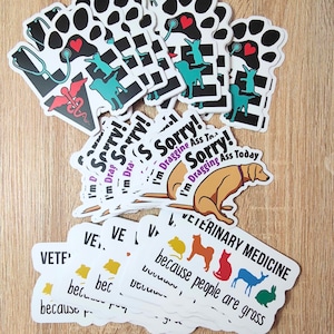 Veterinary Stickers Bundle - 3 for the price of 2, Vet Tech Week Gift, Gift for Vet Tech, Veterinarian, Receptionist, Nurse, Assistant