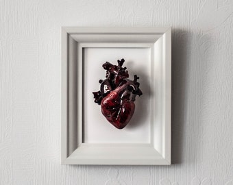 Anatomical human heart in a frame