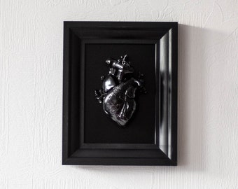 Anatomical human heart in a frame