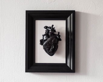 Anatomisch menselijk hart in een frame