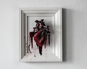 Anatomical human heart in a frame