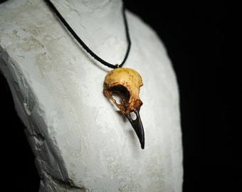 HORROR PENDENT - CROW Skull Pendant - Antique Raven Pendant - Bird Skull Pendent - Skull Gifts - Animal Skull Jewelry Crow Necklace For Her