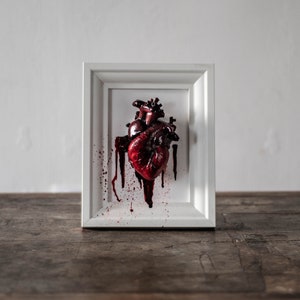 Anatomical human heart in a frame image 2