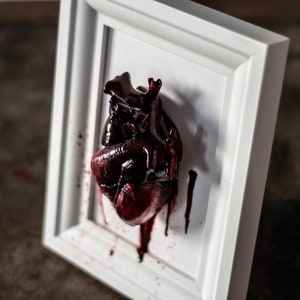 Anatomical human heart in a frame image 5