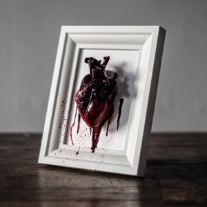 Anatomical human heart in a frame image 3