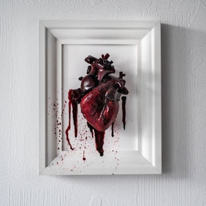 Anatomical human heart in a frame image 4