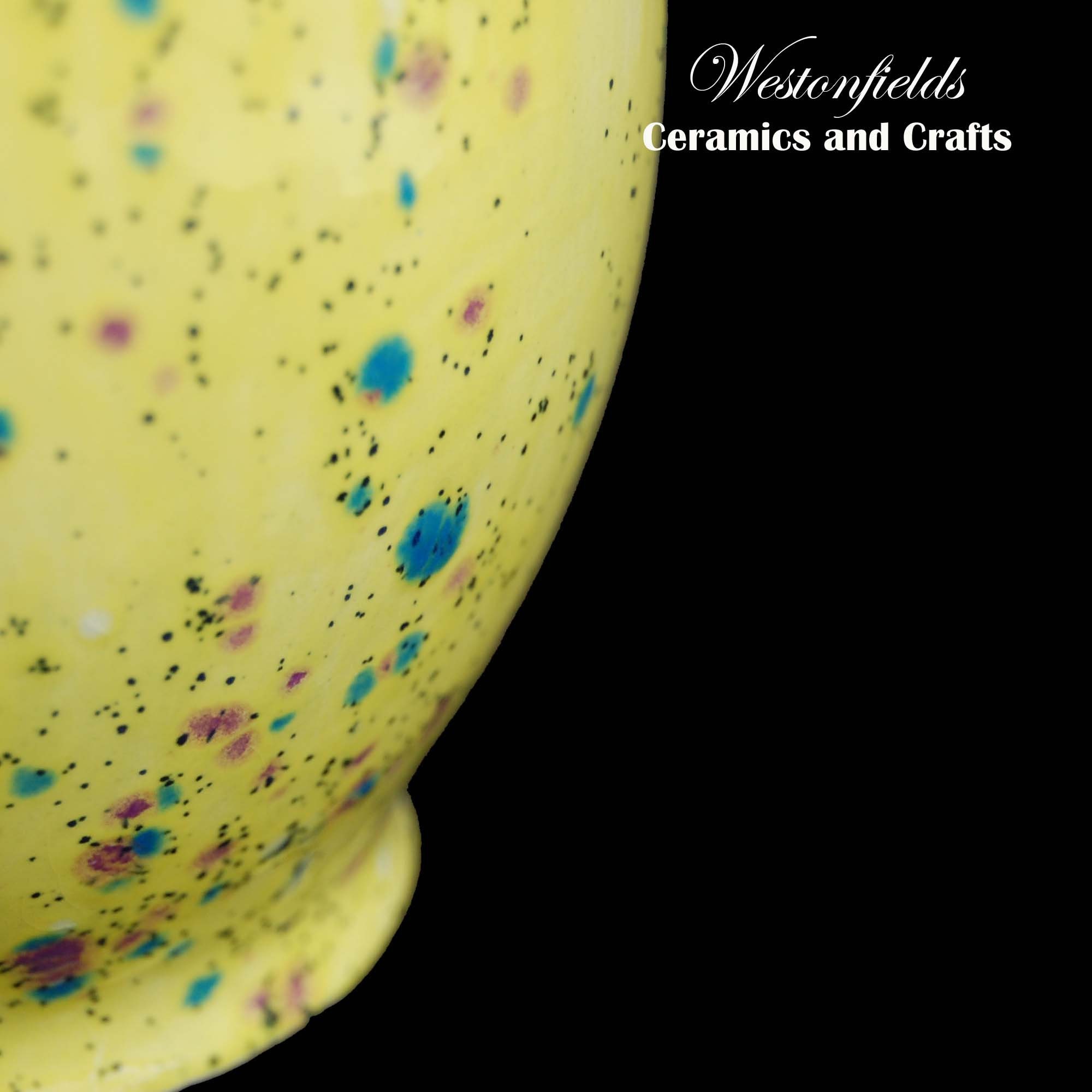 Ceramic Save and Smash Money Savings Pot Box Bank Mardi Gras Etsy UK