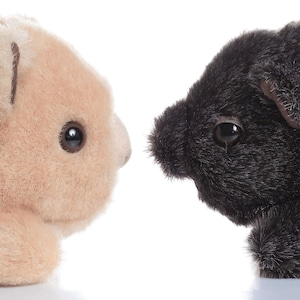 Bruce and Bruce - Double Wombat Trouble Soft Toys | Allergy free | Fire resistant | Aussie made