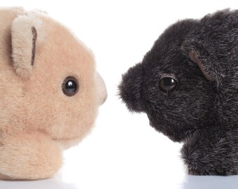 Bruce and Bruce - Double Wombat Trouble Soft Toys | Allergy free | Fire resistant | Aussie made
