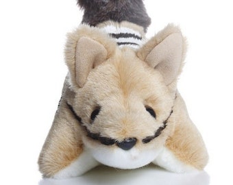 W-Wilf Numbat - Soft Toy