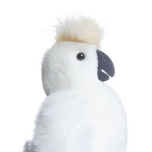 cockatoo soft toy