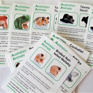 Australian Animal Resource Kit