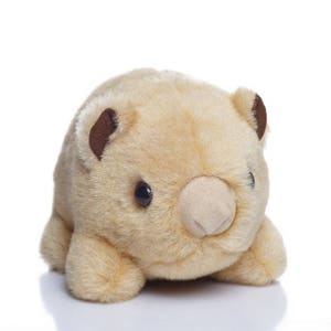 Bruce the Forest Wombat - Soft Toy