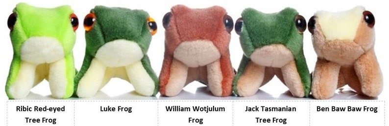 Froggy Five Soft Toys image 2