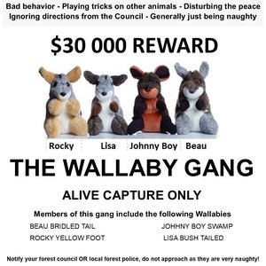 Wallaby Gang 4 wonderful wallaby toys image 8