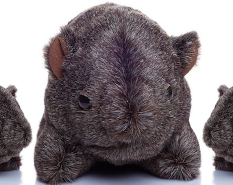 Peluche Wombat Poop, 1 peluche quadrato Wombat Poo, cacca di animali  ripieni Wombat, peluche educativo fatto a mano, regalo animale Australia,  Flat Bonnie -  Italia