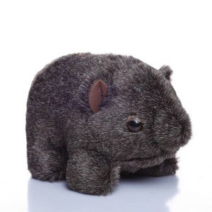 Bruce the Hairy Nosed Wombat - Soft Toy | Allergy free | Fire resistant | Aussie made
