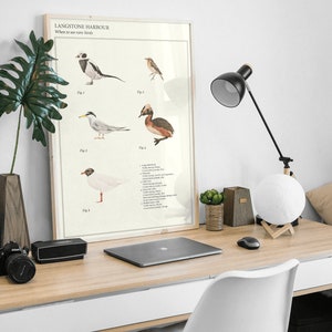 Rare Birds of Langstone Harbour | British Birds Wildlife Art | Bird Illustrations | English Countryside Art | British Bird Chart