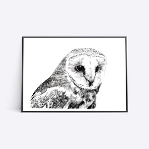 Minimalist barn owl print | Etching print | Dry point etching | Downloadable print | Owl digital download | Owl art | Barn owl wall decor