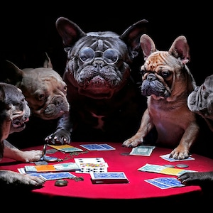 HUND Poster 11 "x 17" Französische Bulldoggen Spielkarten Poker spielen