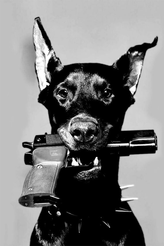 Doberman Gun Colt 1911 Cal ACP Dog Art Poster 13''x19 - Main Image