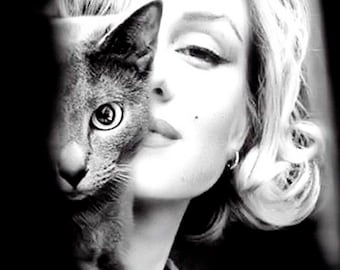 MARILYN MONROE mit Katze 13 "x 19" Fotodruck Poster