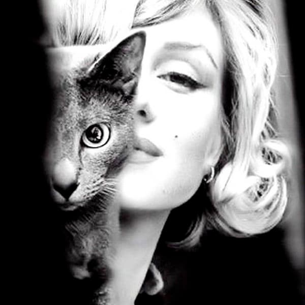 MARILYN MONROE with Cat 13" x 19" Photo Print Poster