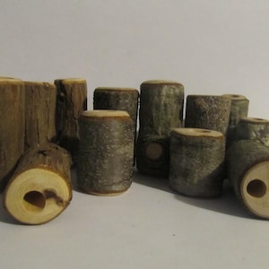 May include: A collection of wooden log slices, some with holes drilled through them, arranged on a white surface. The log slices are various sizes and shapes, with natural bark and wood grain.