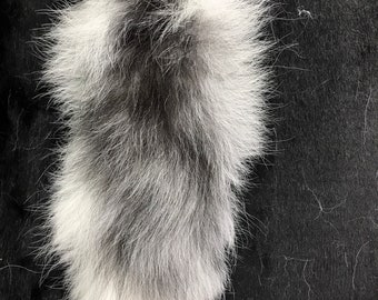 Canadian Marble Fox Price Ph Canadian Marble Fox Pretty Animals Animals Beautiful Cute Animals