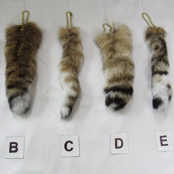 Assorted Natural Bobcat Tail Keychains