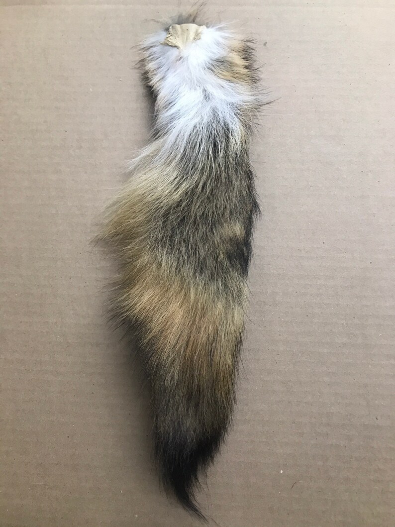 Natural Coyote tail keychain