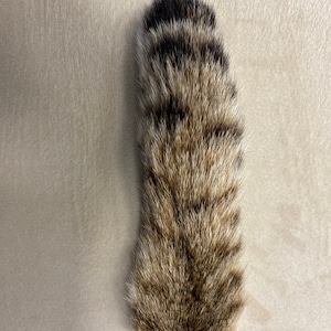 Natural bobcat tail keychain