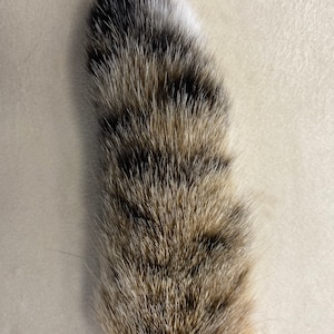 Natural bobcat tail keychain