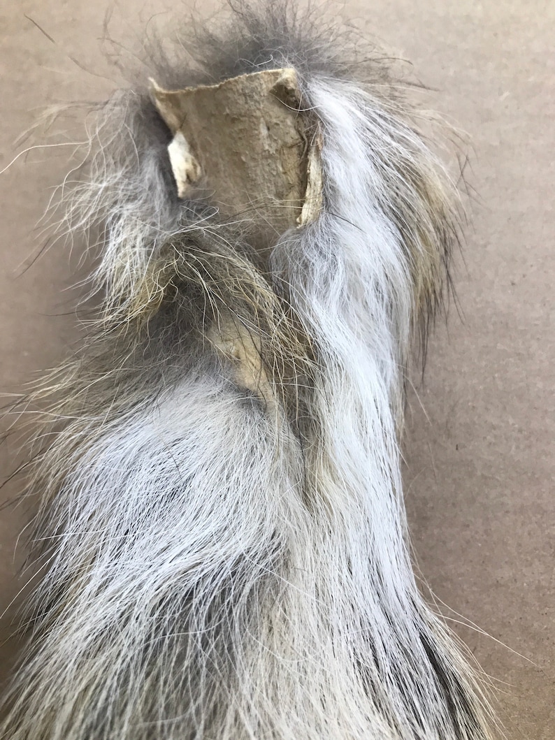 Natural Coyote tail keychain