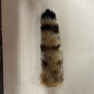 Natural bobcat tail keychain