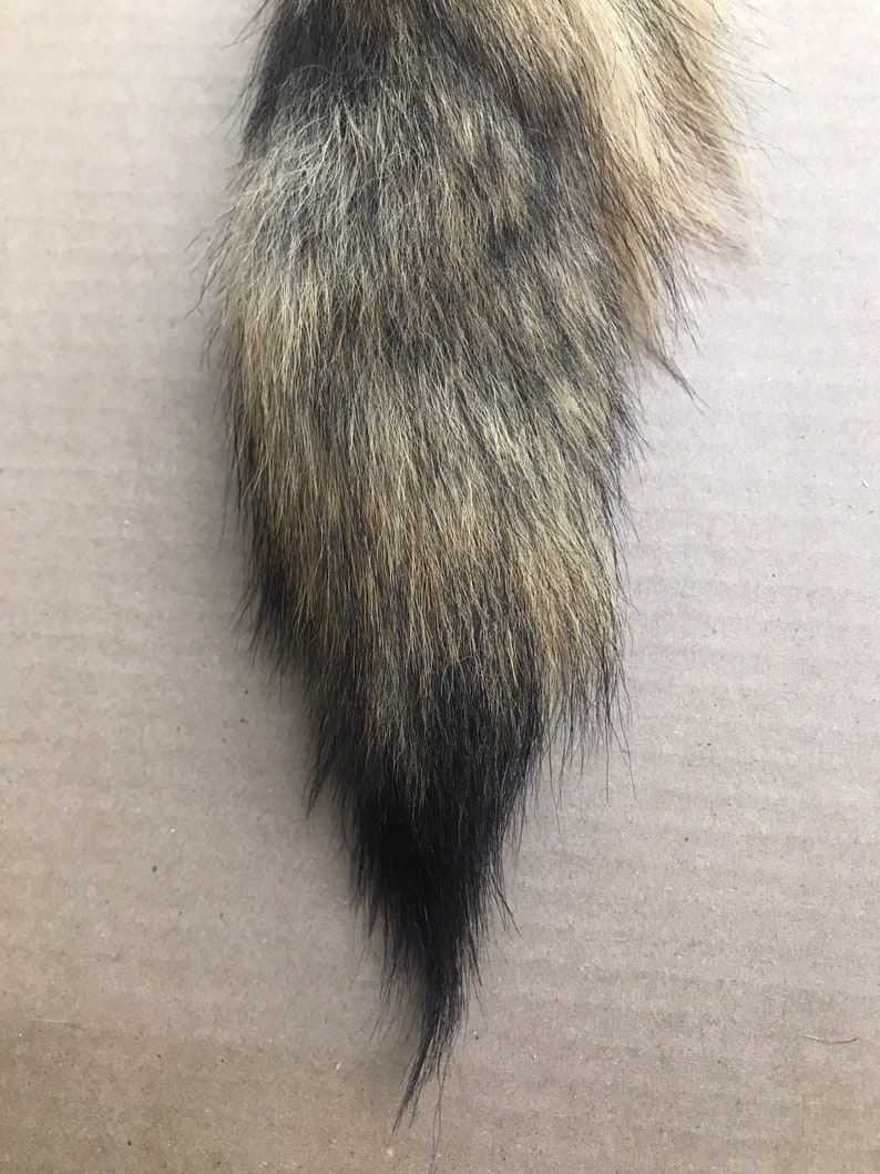 Natural Coyote tail keychain