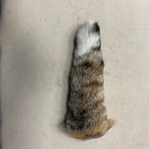 Chaveiro com cauda de lince natural