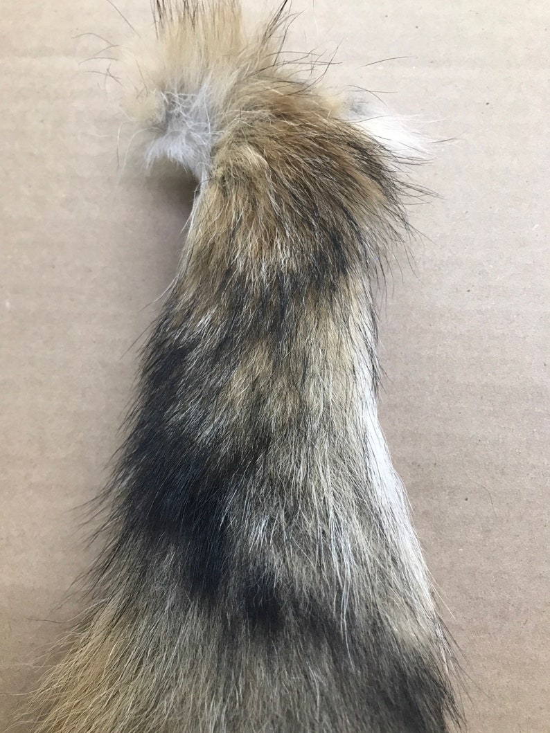 Natural Coyote tail keychain