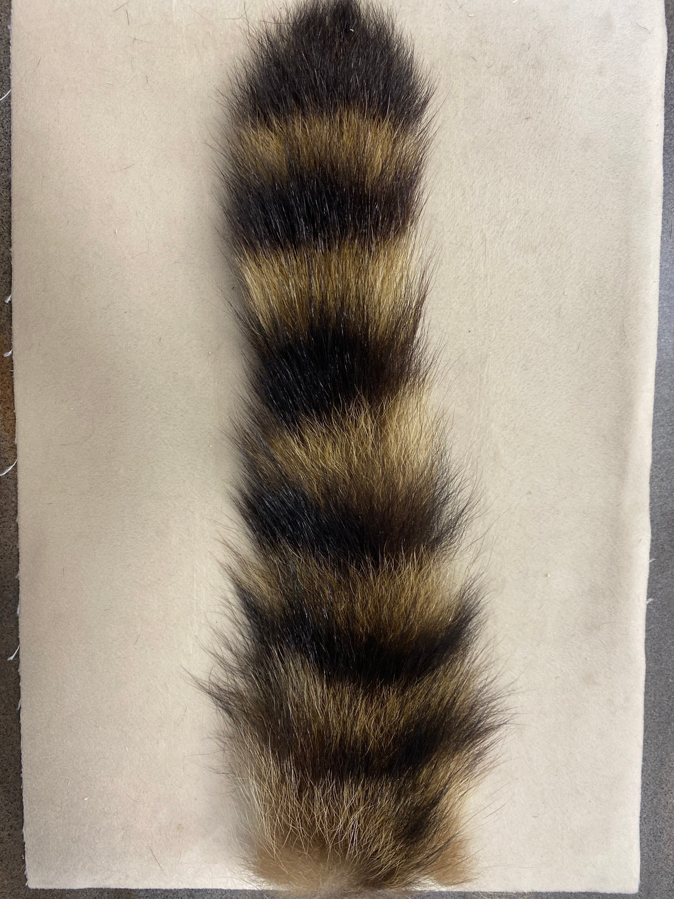 Racoon tail keychain sale