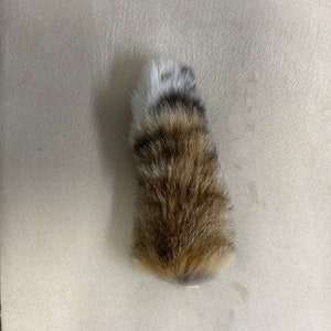 Natural bobcat tail keychain