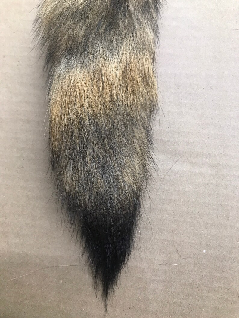 Natural Coyote tail keychain