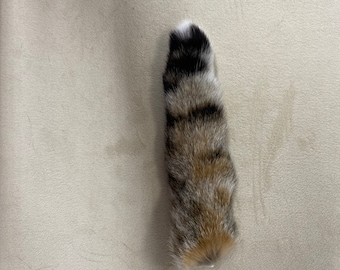 Natural bobcat tail keychain