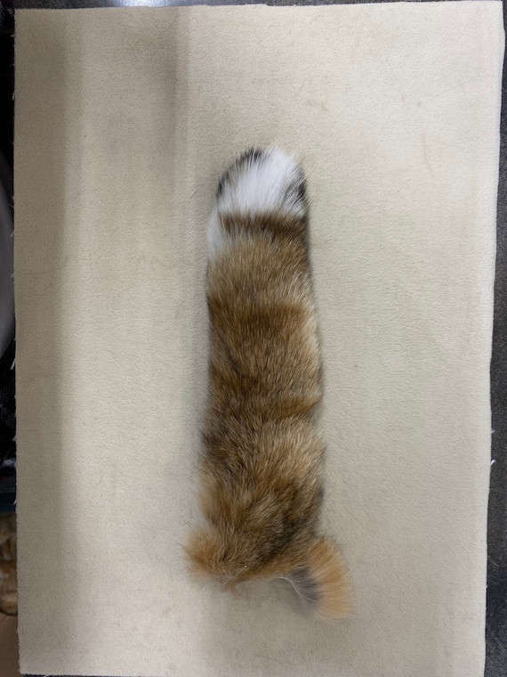 Natural Bobcat Tail Keychain Etsy Canada