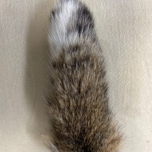 Natural bobcat tail keychain