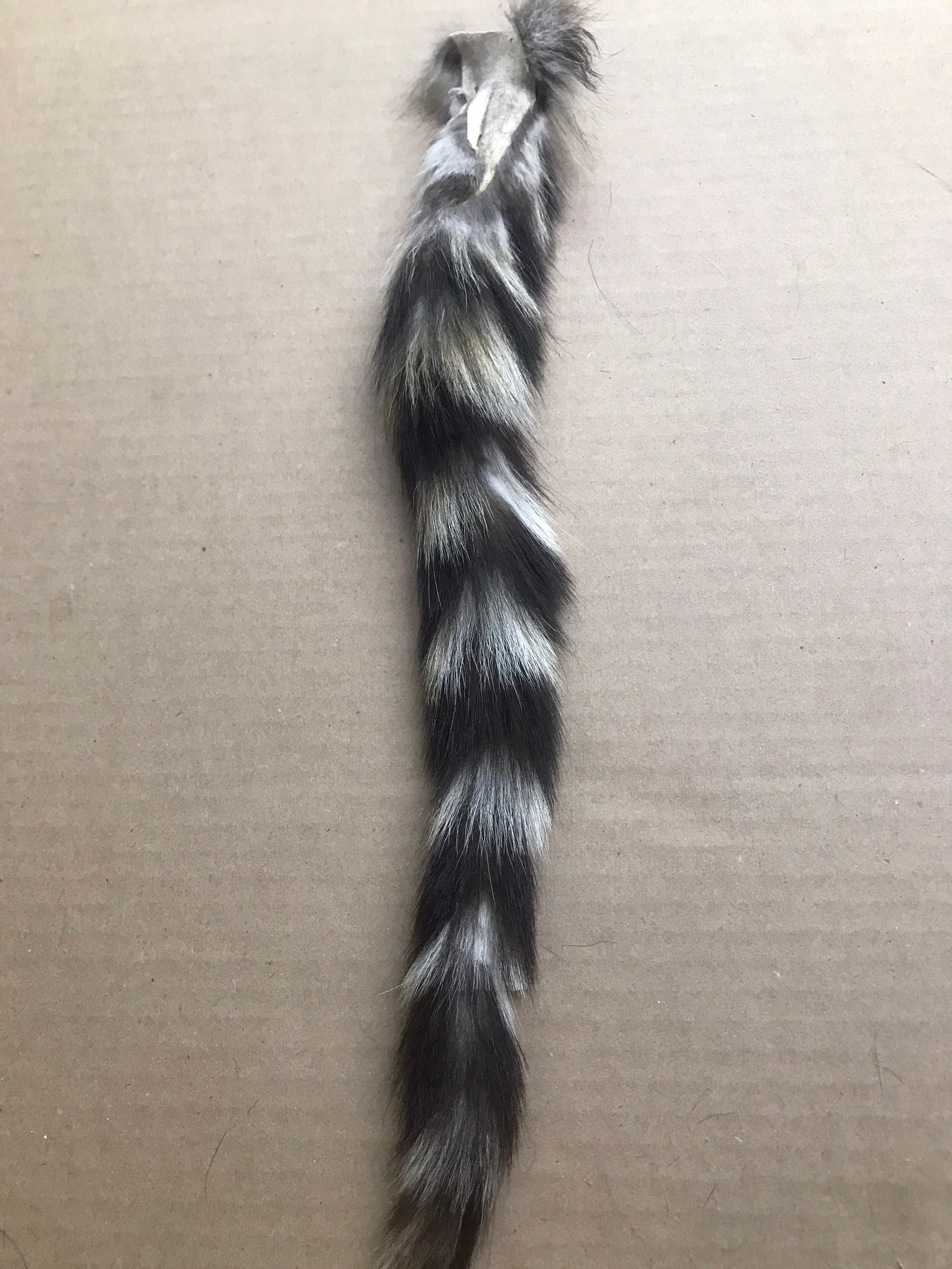 Natural Ringtailed Cat Tail Keychain Etsy UK
